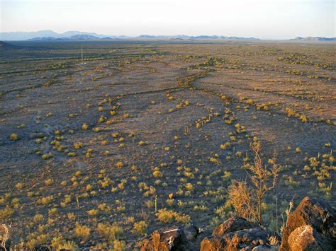 Top Desert Parks Sonoran Desert National Monument
