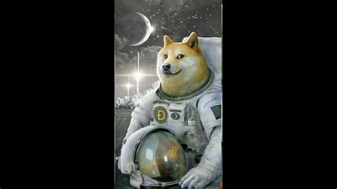 Space Doggo Battle Theme Youtube