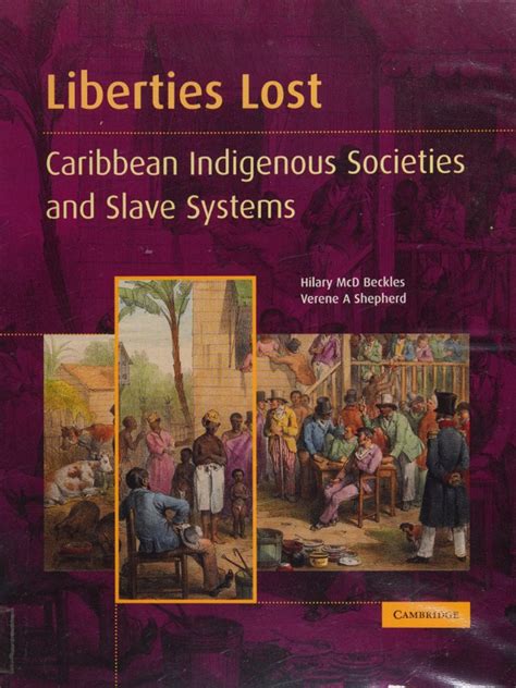 Liberties Lost The Indigenous Caribbean And Slave Systems Hilary Mcd