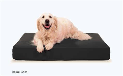 These dog beds are intended for light to moderate chewers and will resist about 90% of chewing dogs. 5 Best Indestructible (And Comfy) Dog Beds For Heavy ...