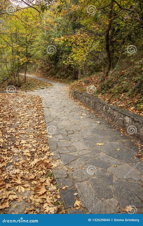 Stone Paved Footpaths Strewn With Dry Fall Foliage In The Woods Stock