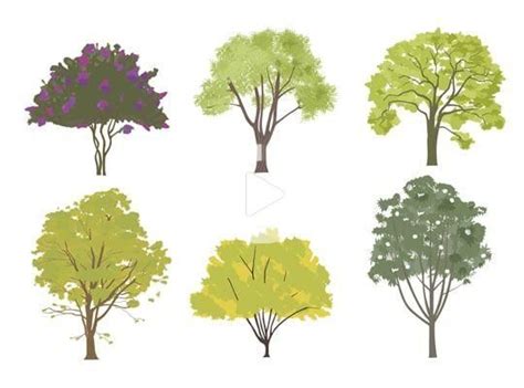However, if you know nothing about drawing, you may either go too simple. Choosing the Right Tree in 2020 | Tree drawing simple ...