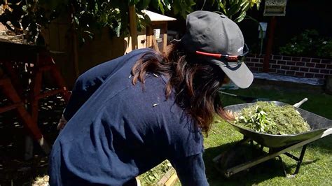 Aim for beds no wider than four feet (1.2m) and you'll never need to step on the soil inside. Newspaper Gardening and Cardboard Gardening - YouTube