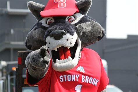 Stony Brook Seawolves Mascot Wolfie The Seawolf Self Defense Women