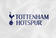 Image result for tottenham hotspur