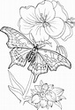 Coloring Pages Pdf Printable Coloring Pages - vrogue.co