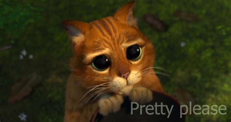Image Pretty Please Cat Glee Tv Show Wiki Fandom Powered By Wikia