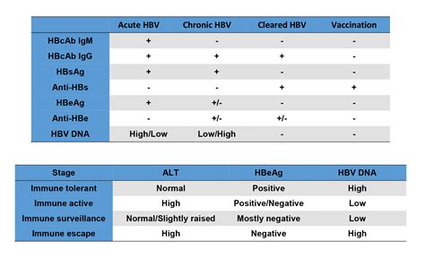 Perbedaan Hepatitis A B C D E Pdf Fluentportal