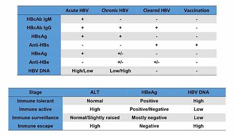 hepatitis b serology graph