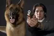'Inspector Rex' is the best TV show about a crime-solving dog you've ...