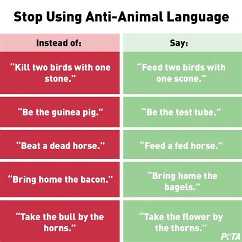 Peta Wants You To Remove ‘speciesism From Your Vocabulary
