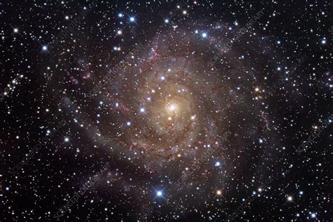 Spiral Galaxy Ic 342 Optical Image Stock Image R8200508 Science