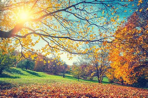 We Love Autumn And Here Are 8 Reasons Why Daily Mail Online