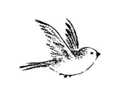 House Sparrow Bird Drawing Tattoo - sparrow png download - 800*629 - Free Transparent Sparrow ...
