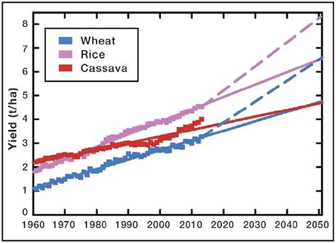 The Annual Average Global Yields Of Crops From 1961 To 2013