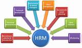 Human Resource Management And Payroll Process Images