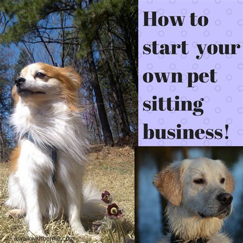 Rover Dog Vacay How To Start Your Own Pet Sitting Business Stop Puppy