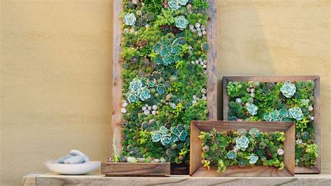 Make Your Own Diy Vertical Succulent Wall Planters Sunset Sunset