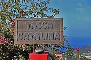 Restaurants on La Palma: El Paso - Restaurante Tasca Catalina - La ...