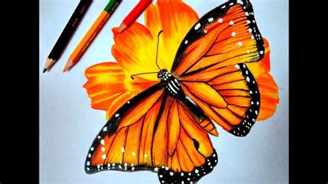 How To Draw Butterfly Easy Butterfly Drawing Step By Step Easy Drawings Youtube