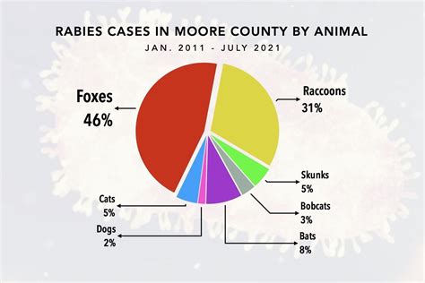 Moore Among North Carolina Counties With Most Rabies Cases This Year