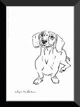 Drawing Dog Dachshund Line Pen Ink Sausage Drawings Decor Coloring Haired Miniature 5x7 Simple Classic Getdrawings Bff sketch template