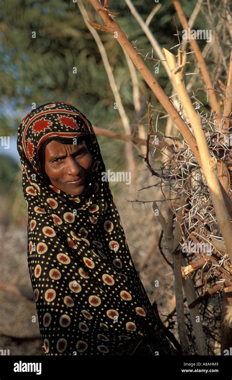 Afar Woman Assaita Danakil Desert Ethiopia Stock Photo Alamy