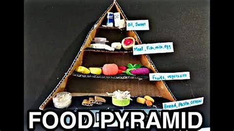 Food Pyramid Science Project 3d Model School Exhibition Model Food