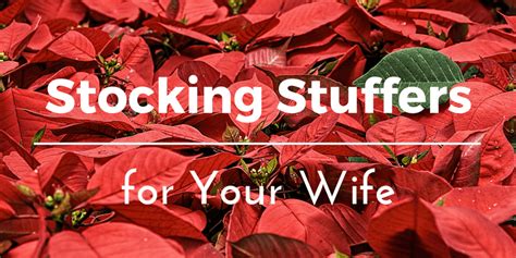 We did not find results for: Best Christmas Stocking Stuffers for Your Wife: 50 ...