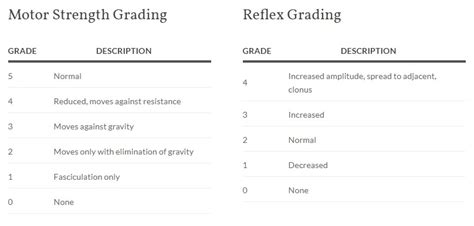 Reflex Chart Grading