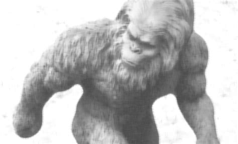 Mystery Of Bigfoot Spotted On A Traffic Camera In Washington Solved