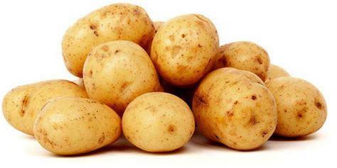 Morfologi Dan Syarat Tumbuh Tanaman Kentang Solanum Tuberosum