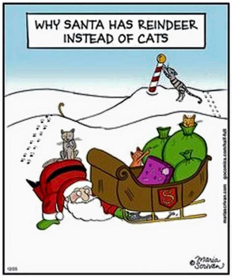 Why Santa Has Reindeer Inetead Of Cats Christmas Jokes Funny