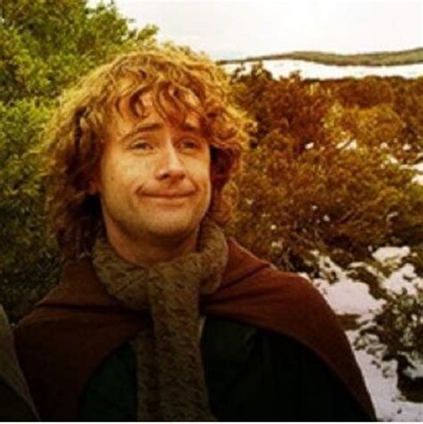 Literally A Picture Of Peregrin Took Rlotrmemes