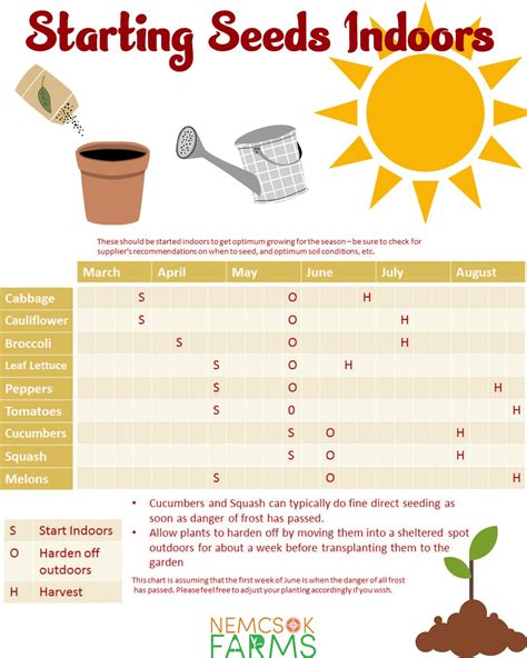 Printable Seed Starting Chart Starting Transplants From Seeds Indoors