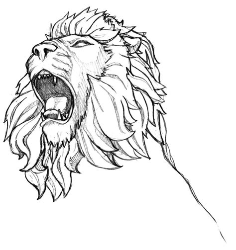 Roaring Lion Pencil Drawing