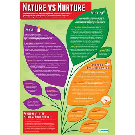 Nature Vs Nurture Poster Daydream Education
