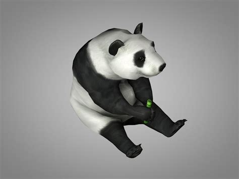 Panda Standing Up 3d Model 69 Fbx Obj Max Free3d