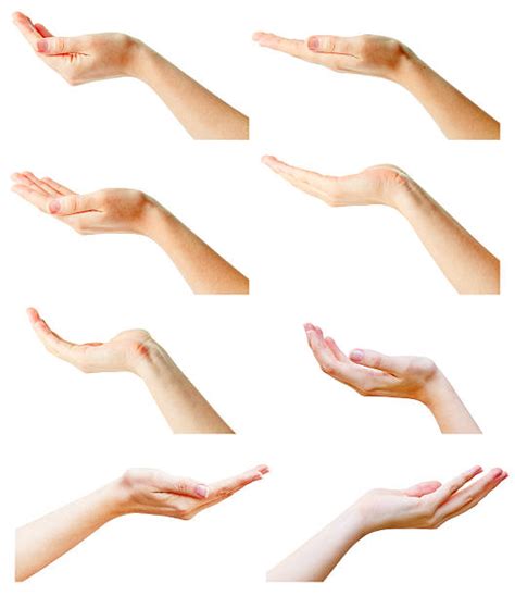 Hands Cupped Stock Photos Pictures And Royalty Free Images Istock