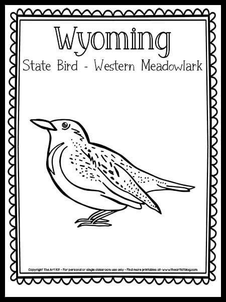 Wyoming State Bird Coloring Page Western Meadowlark Free Printable