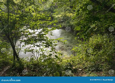 Secretive Small Natural Pond Tucked In A Nature Reserve Stock Image