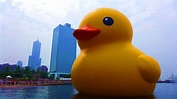 黃色巨鴨在高雄 | 熱門的「黃色小鴨」 游進台灣 展開一連串的「游」行 | DIGIPHOTO