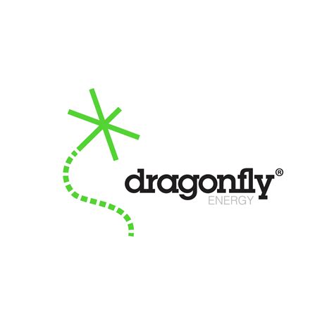 Lithium Ion Battery Manufacturers Renewable Energy Storage Dragonfly