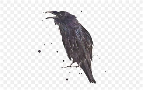 Common Raven The Raven Art Printmaking Png 564x515px Common Raven