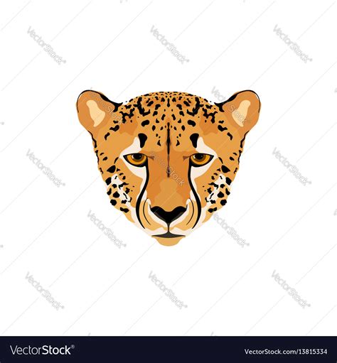 A Cheetah Head Royalty Free Vector Image Vectorstock