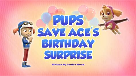 Pups Save Aces Birthday Surprise Paw Patrol Wiki Fandom