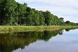 Free photo: River Bank - Bank, Nature, River - Free Download - Jooinn