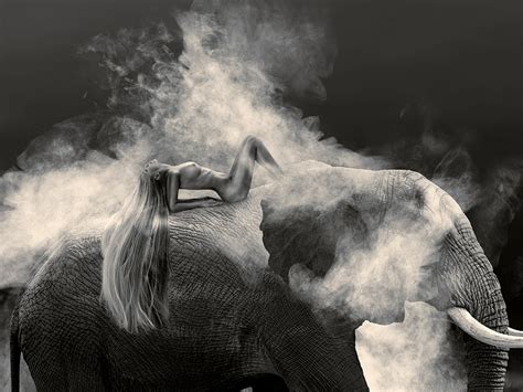 Where Is Adam Nude Elephant Dust Closeup Ed Of 5 Villa Del Arte