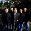 Members of Los Lobos are still hungry like the wolves - al.com