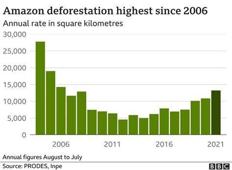 Brazil Amazon Sees Worst Deforestation Levels In Years Bbc News